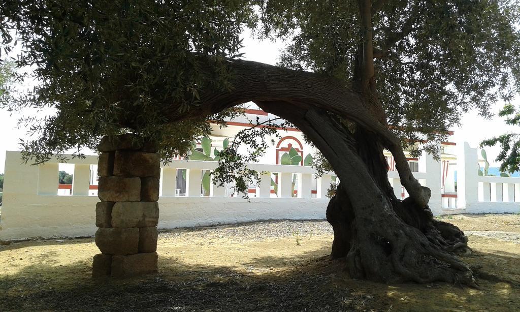 Lama Cupa Fasano Exterior photo